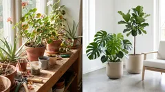 Dessa 7 växter ger lägenheten en gammaldags känsla utan att man märker det