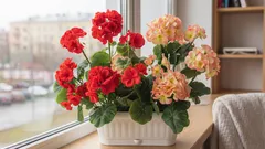 Var ska man placera växterna istället för på fönsterbrädan – och varför är det viktigt?