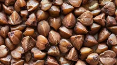 En kostrådgivare har utsett den mest underskattade supermaten: den är billigare än chia och fungerar bättre