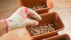 Du har använt keramzit fel i åratal: här är varför det egentligen behövs