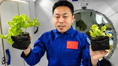 Man har lärt sig att framställa andningsluft i rymden: ett genombrott inför Mars